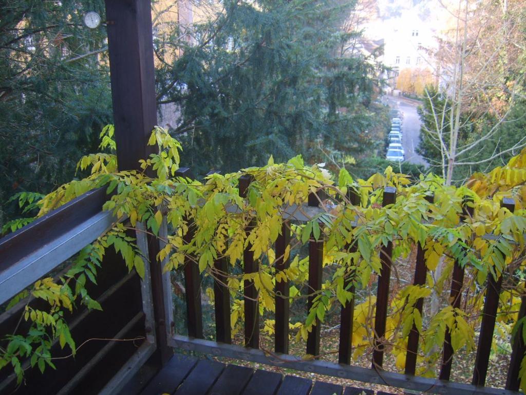 Garden Apartment Baden-Baden Eksteriør billede